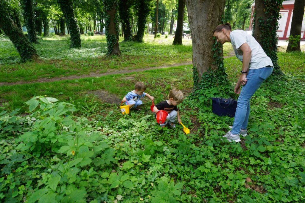 Dzieci nabierają ziemię z kretowisk do wiaderek